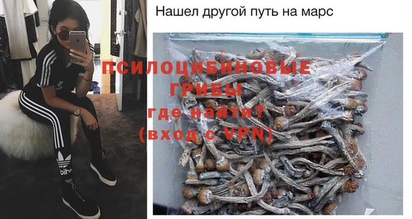 apvp Аркадак