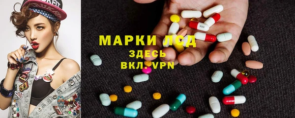 apvp Аркадак