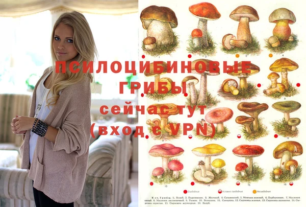 метадон Арсеньев