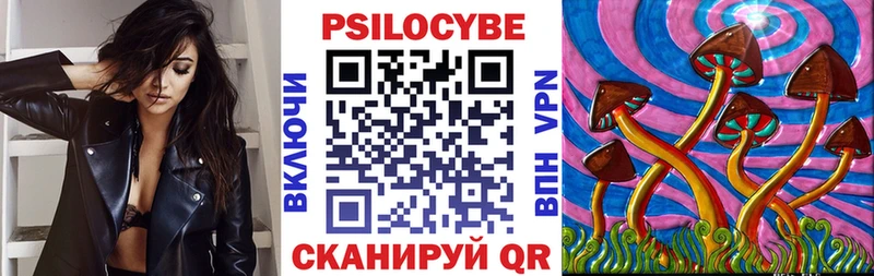 Галлюциногенные грибы Psilocybe  купить  сайты  Алейск 